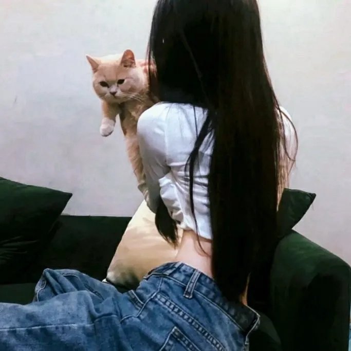 神秘女王蜂